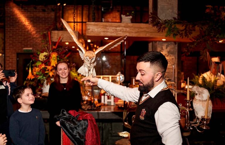 День рождения в стиле «Школа Хогвартс»