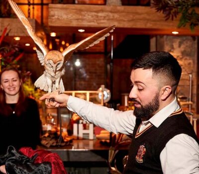 хогвартс хогвартс